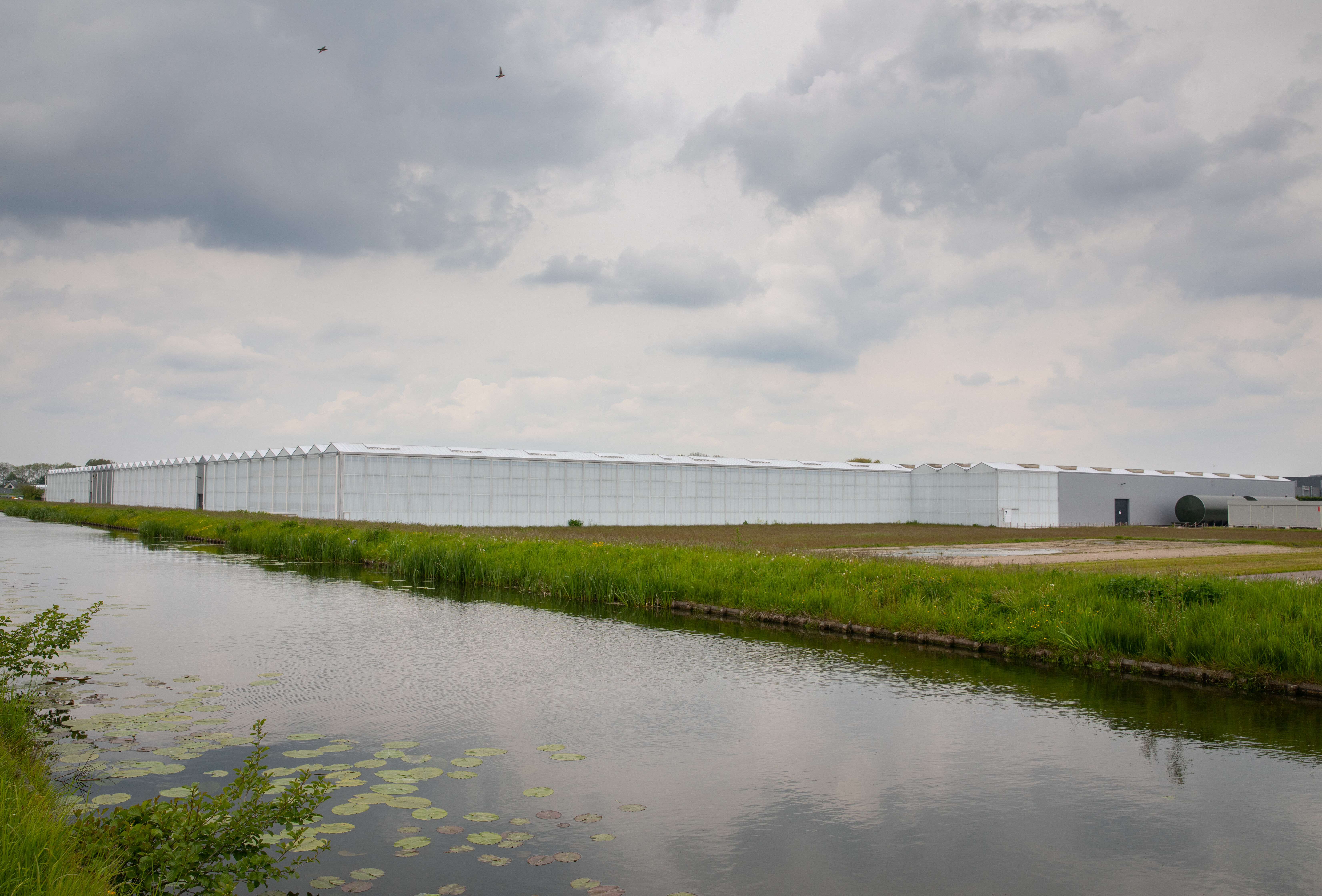 Energy saving success during the rearing of natural enemies