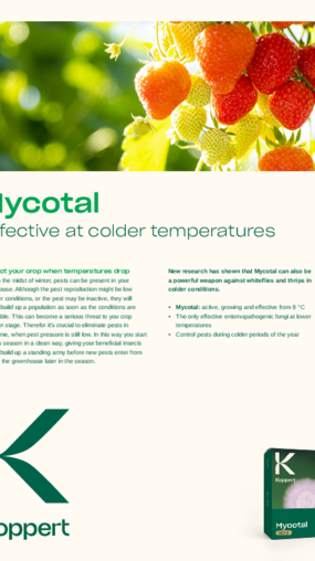 Mycotal - Effective at lower temperatures