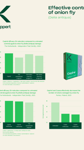 Trial results onion fly and bean seed fly Trial results onion fly and bean seed fly