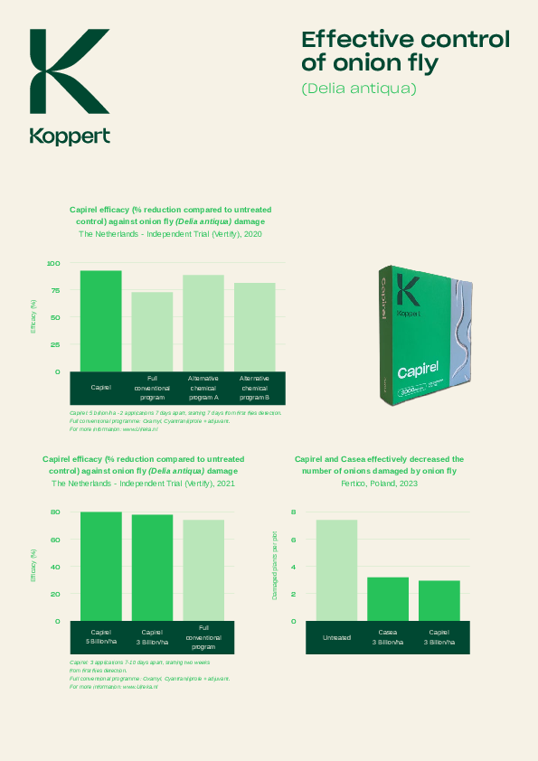 Effective control of onion and bean seed fly