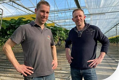 User story - “Empowering our strawberry plants through nutrition has helped us to become a more reliable supplier”