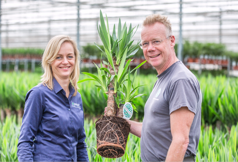 Forever Plants: op weg naar de beste omgeving voor de plant