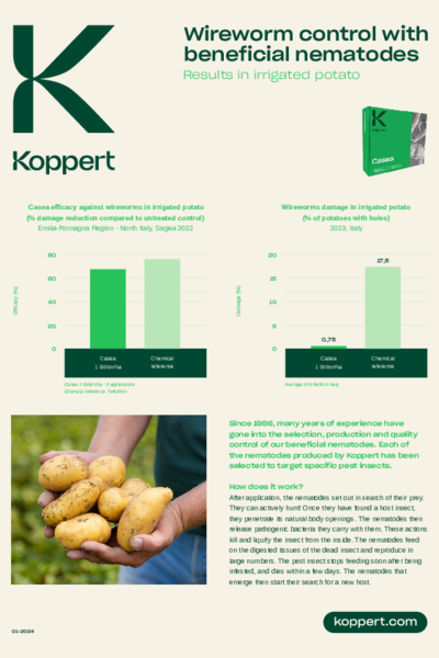 Trial results wireworm control