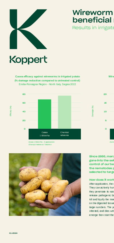 Wireworms control in potatoes