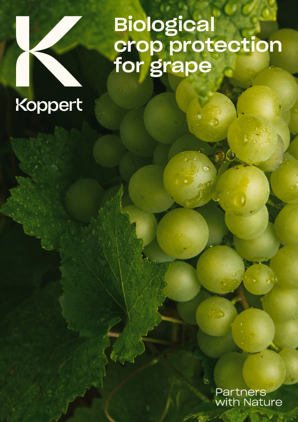 Koppert_-_Crop_brochures_Fruit_Logistica_Grape.pdf
