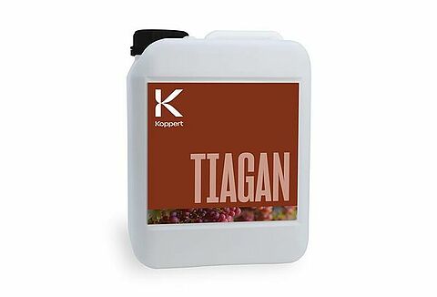 Tiagan