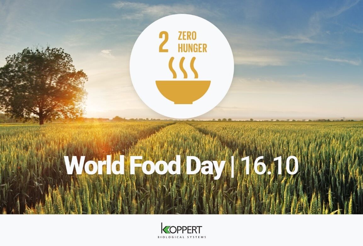 World Food Day 2020