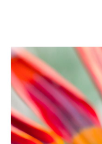 Manual Growing lights Manual Growing lights