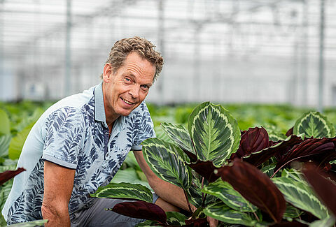Shadowplant: no longer throwing plants away thanks to maximum biological use