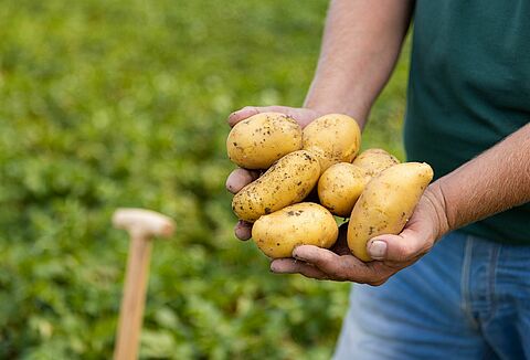 2023 trial season proves value of biological solutions in outdoor crops