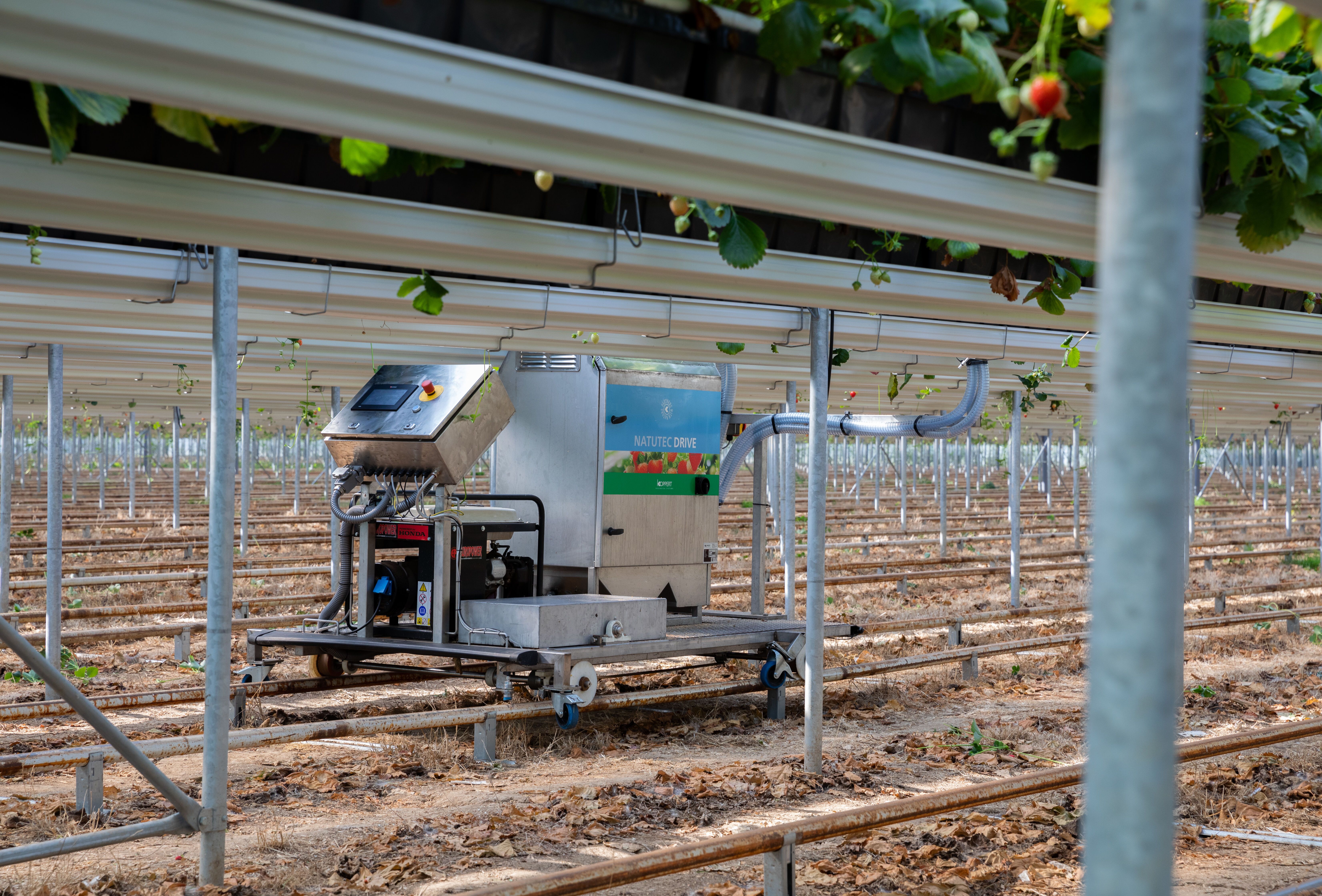 Natutec Drive – ‘In a class of its own!’