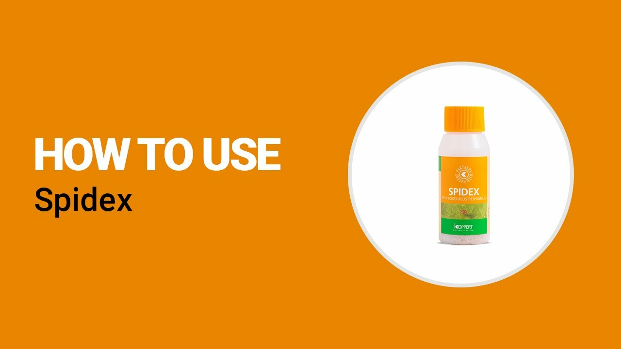 How to use Spidex from Koppert How to use Spidex from Koppert