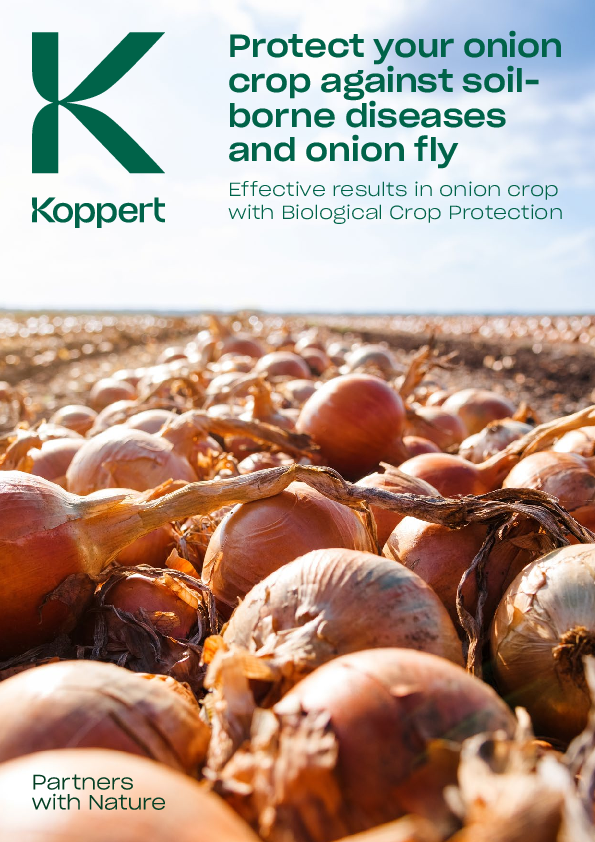 Trial results Onion fly and Fusarium wilt