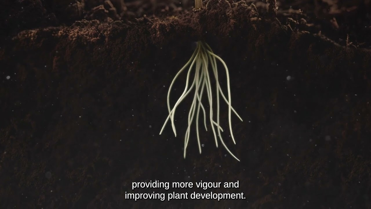 Stingray 25: a booster of crop growth and productivity