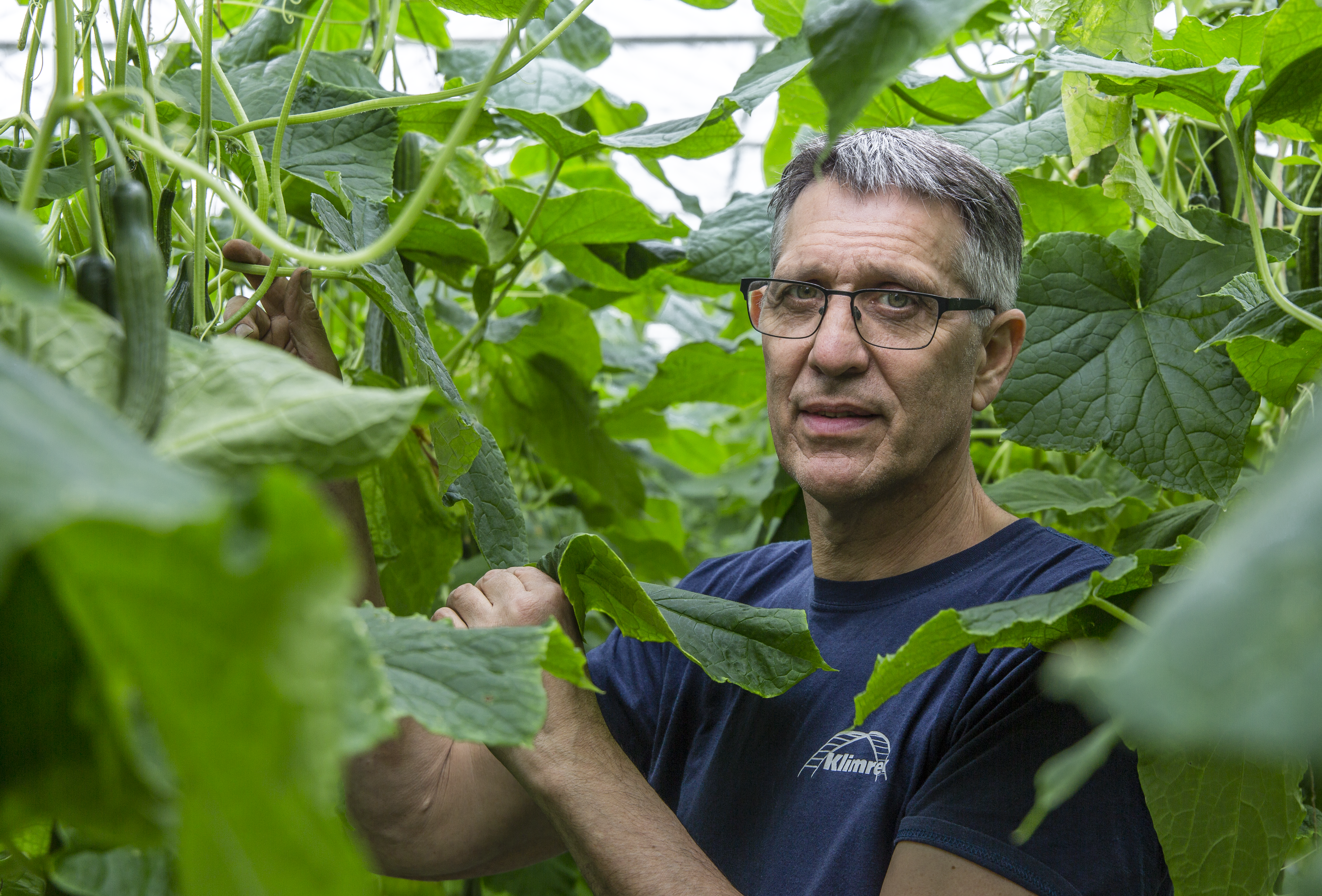 Initial experiences: Spidex Vital lives up to its promises