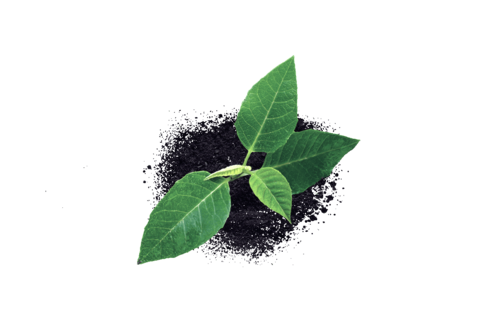 Plant health