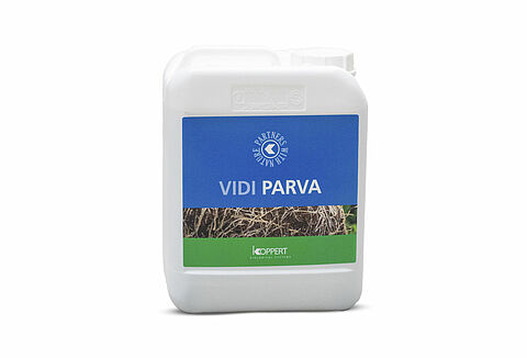 Vidi Parva