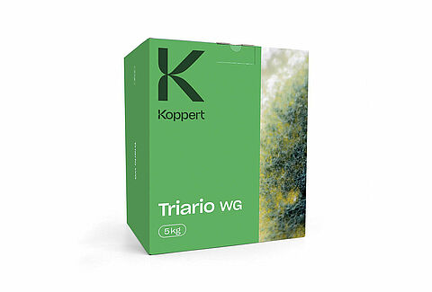 Triario WG
