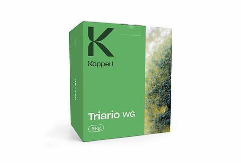Triario WG