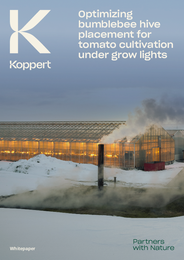 Optimal bumblebee hive placement for tomato cultivation under artificial lights