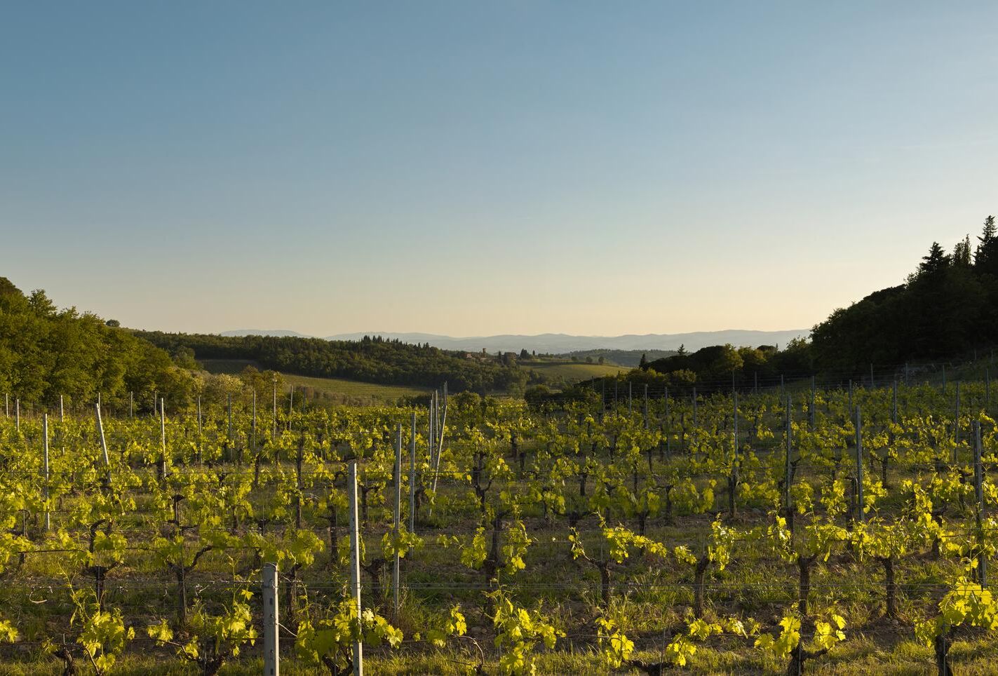 Biological crop protection: pest and disease control with minimal to no resistance risks