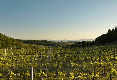 Biological crop protection: pest and disease control with minimal to no resistance risks