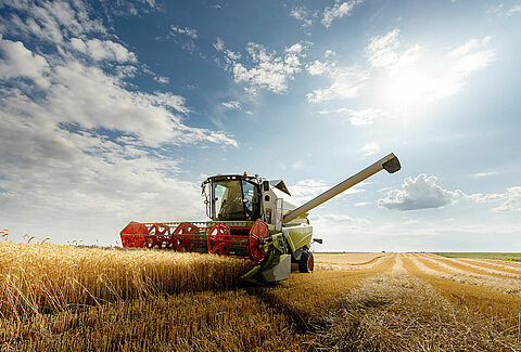 The importance of early disease control