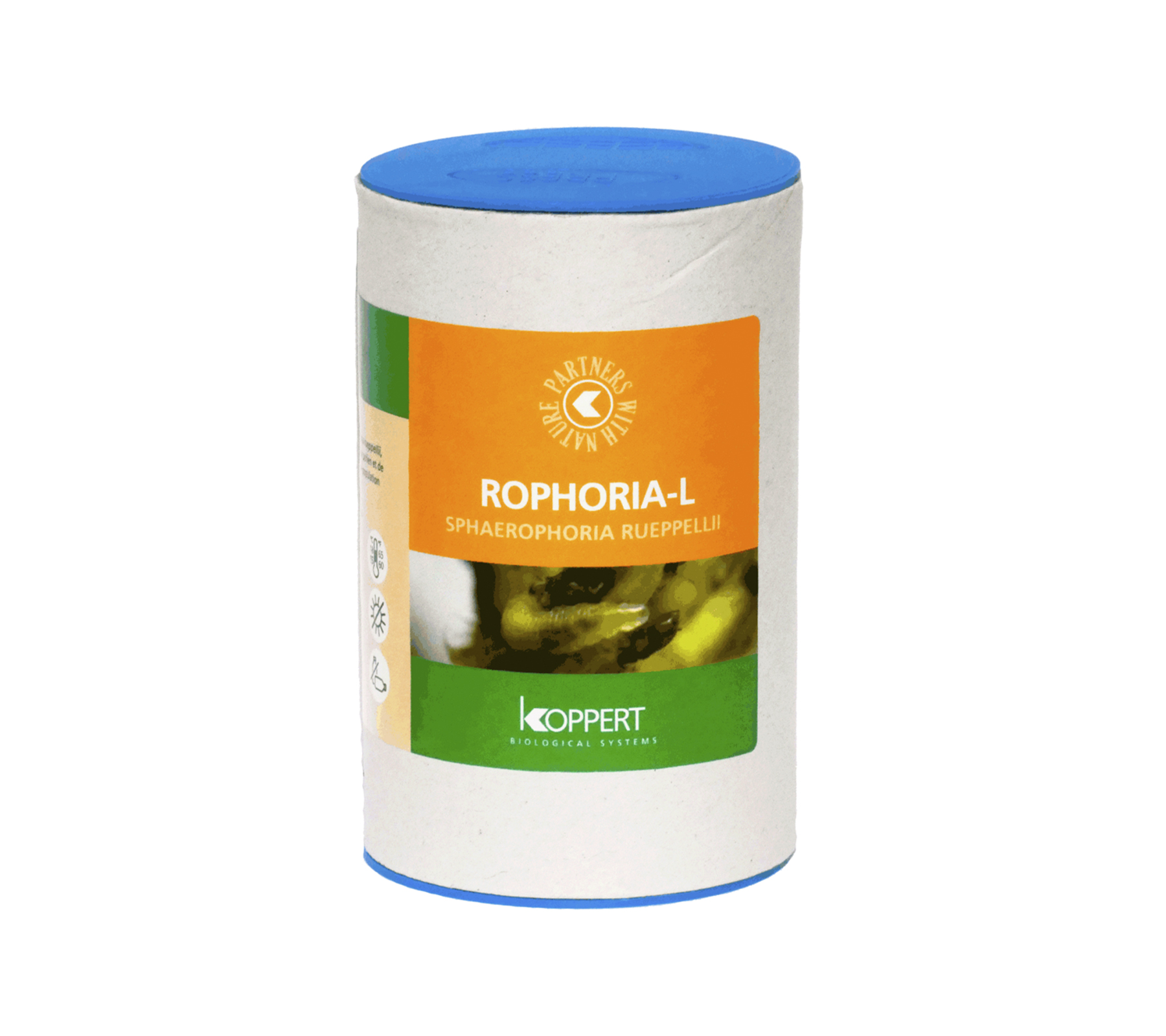 Rophoria-L_fond-blanc2.png Rophoria-L_fond-blanc2.png