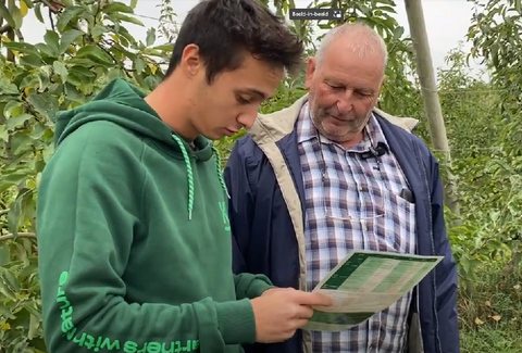 Using Capirel for healthy fruit orchards