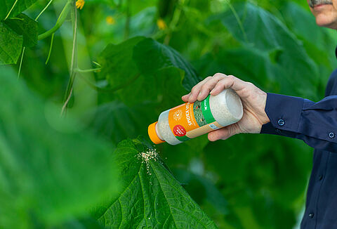 Spidex Vital: dióhéjban a helyes alkalmazásról