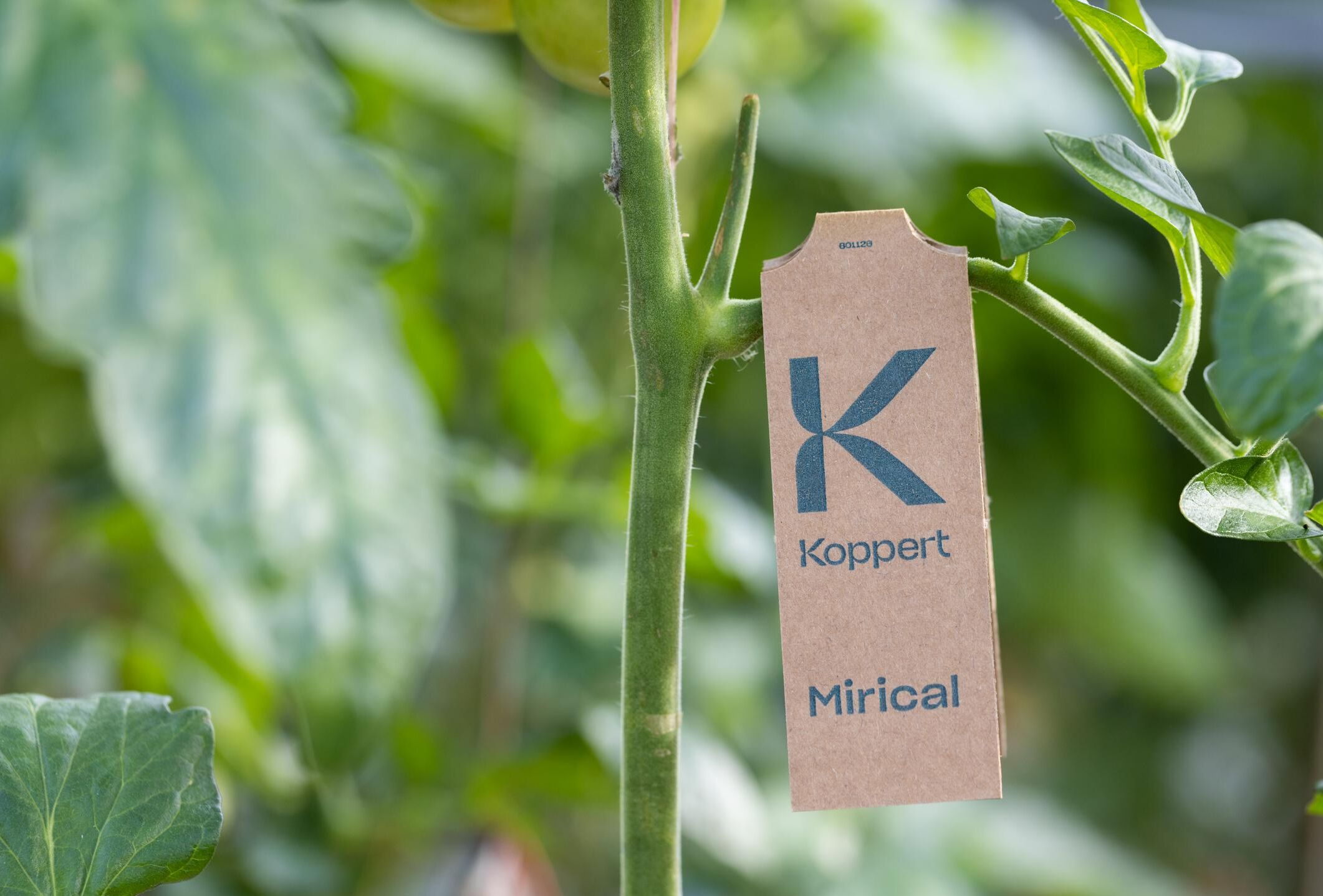 Mirical - Revolutionary packaging simplifies application and maximizes whitefly control