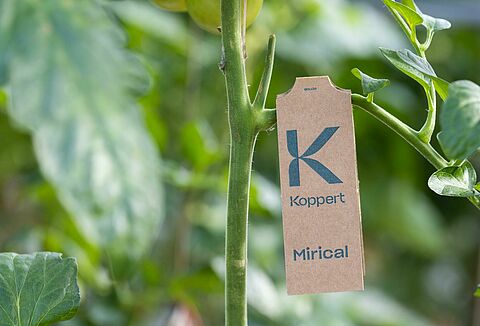 Mirical - Revolutionary packaging simplifies application and maximizes whitefly control