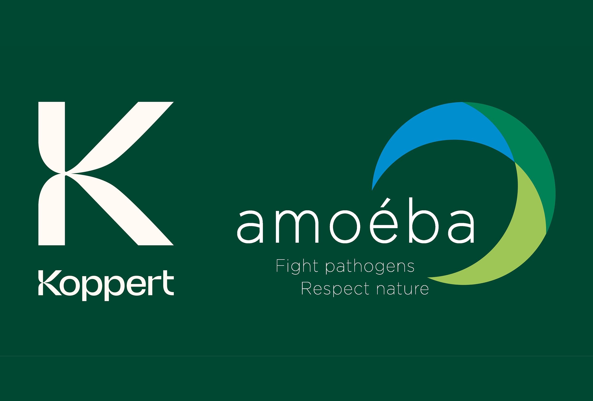 Koppert partners with Amoéba to launch innovative biofungicide solution