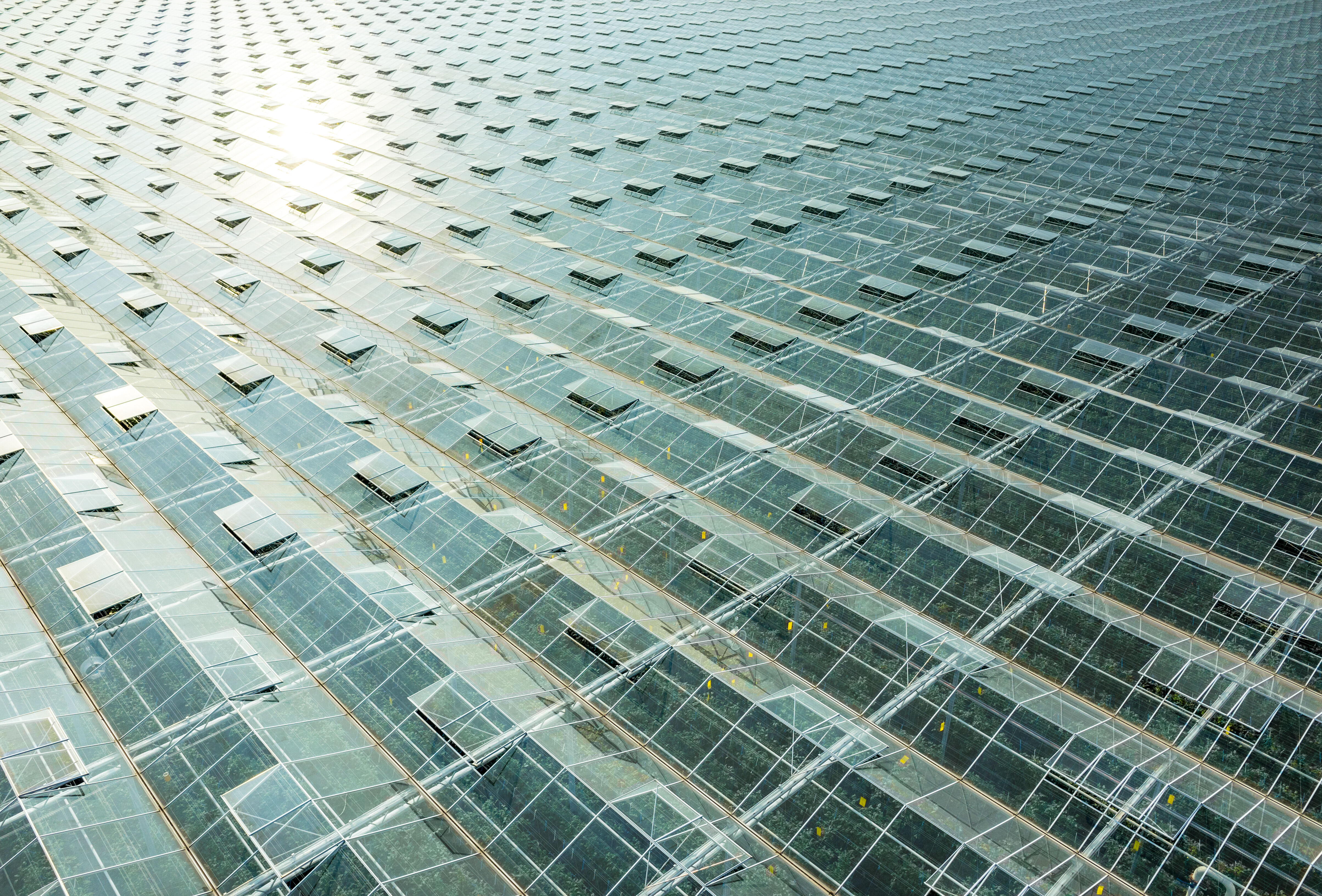 Voorkom hittestress in uw gewas met Vidi Terrum