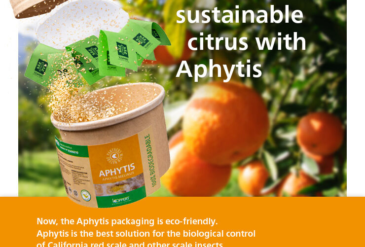 Eco-friendly packaging to make citrus production more sustainable