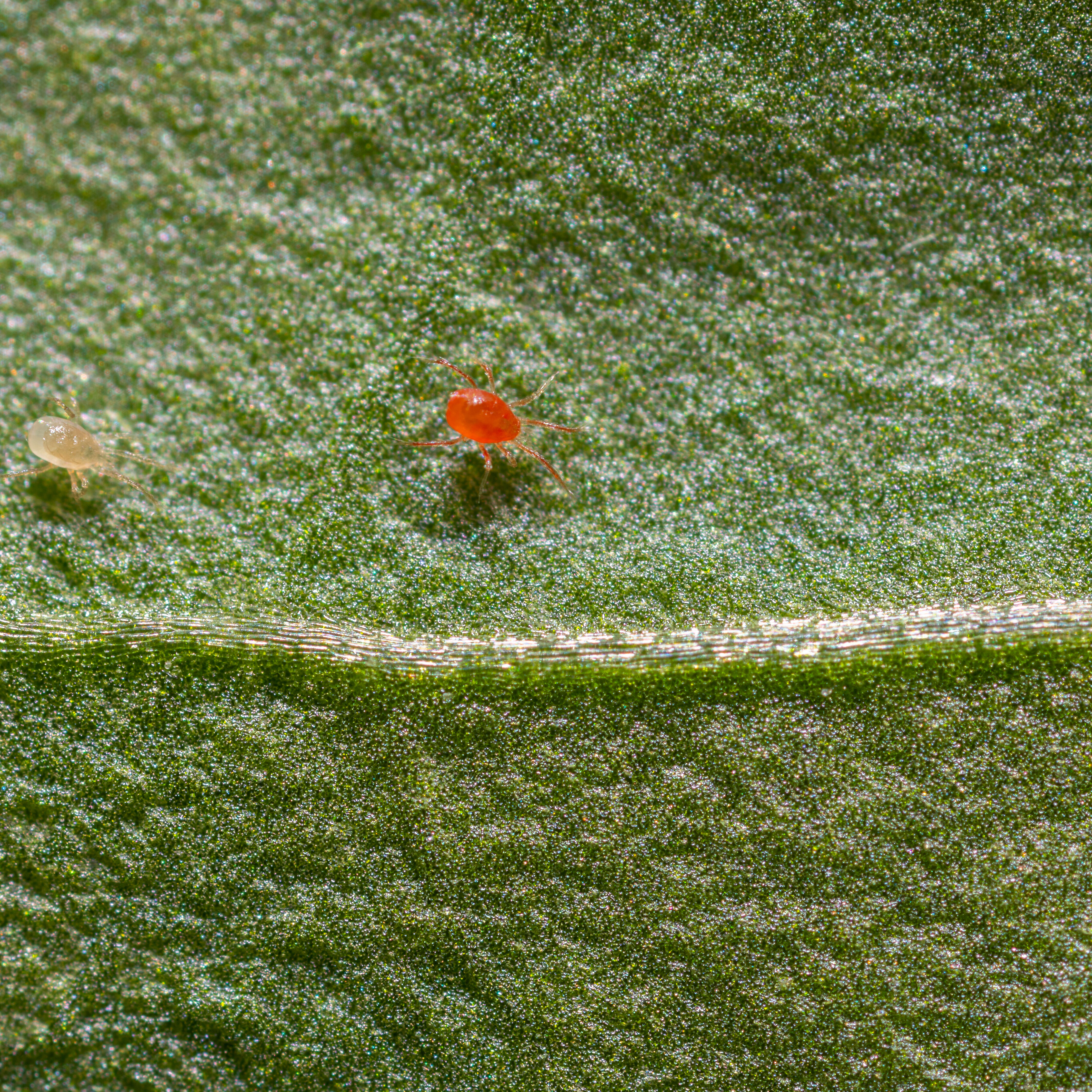 0F2A3990.jpg 0F2A3990.jpg