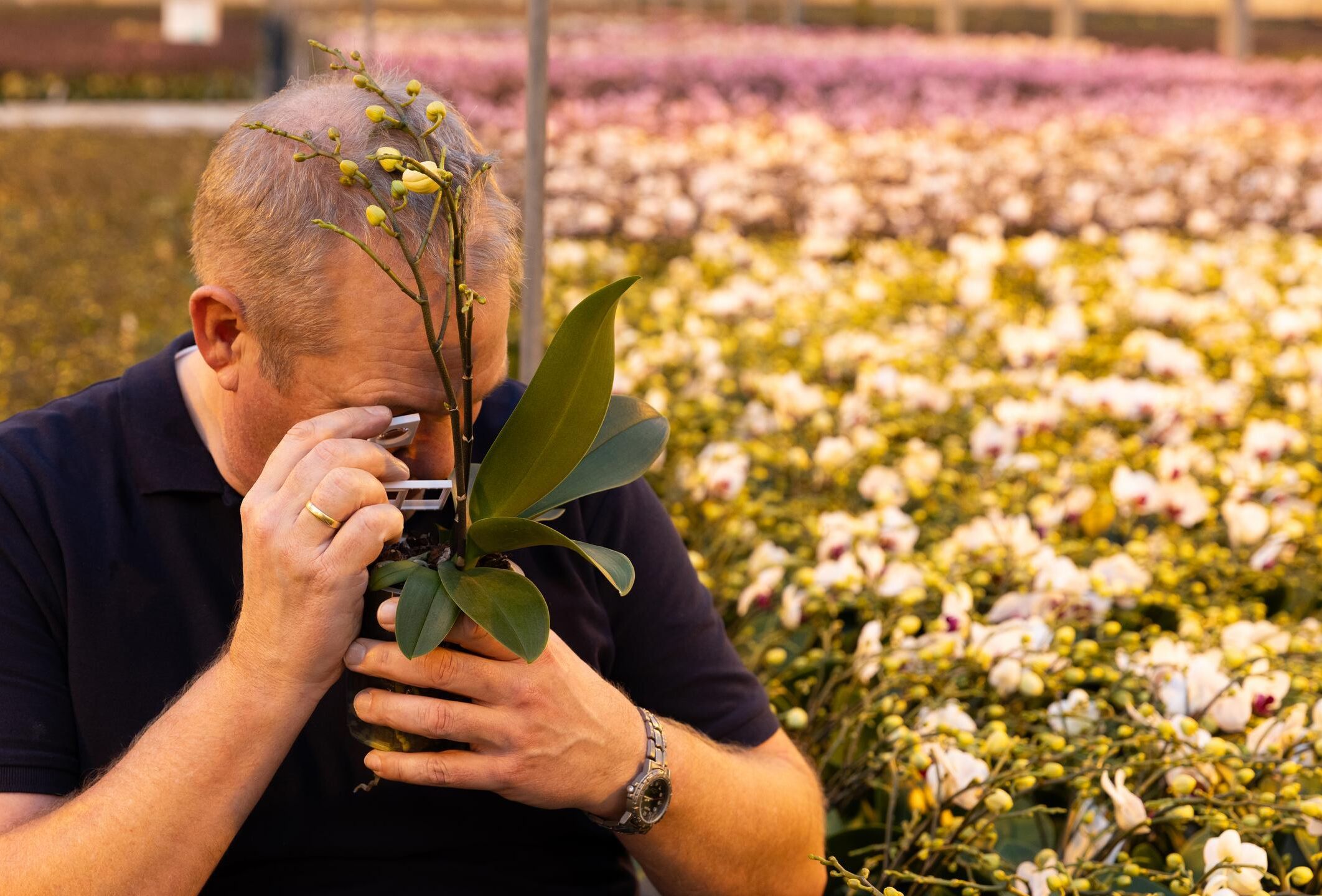 Getting a head start - The importance of scouting in winter