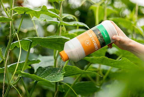 Nog altijd begint alles met Swirskii