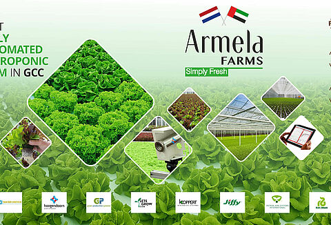 Koppert teams up for first automated lettuce farm in the UAE