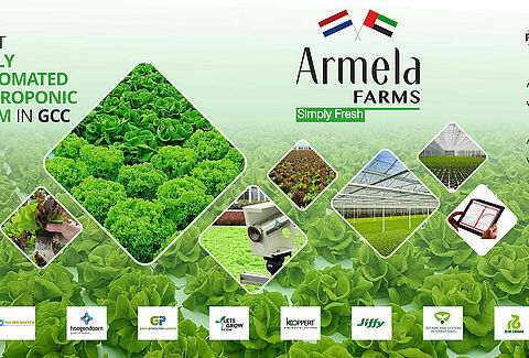 Koppert teams up for first automated lettuce farm in the UAE