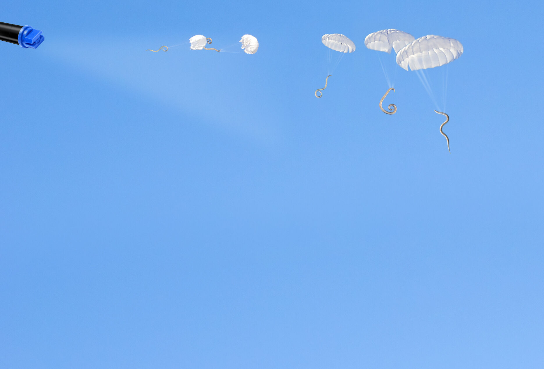 Nematodes: a new asset in the fight against caterpillars