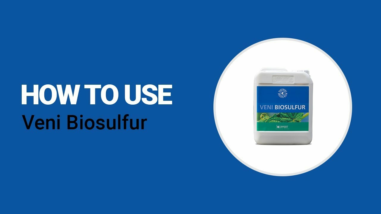 How to use Veni Biosulfur from Koppert