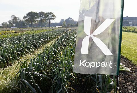 In control of aphids and thrips: Koppert showcases biological crop protection solutions at Bejo Open Days 2025