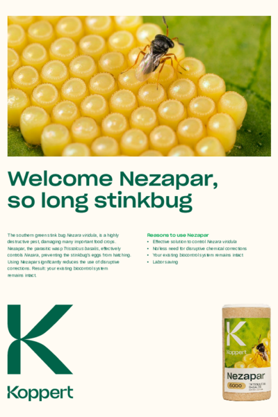 Effect of Nezapar Leaflet
