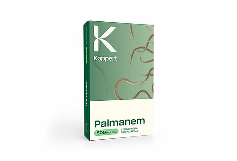 Palmanem