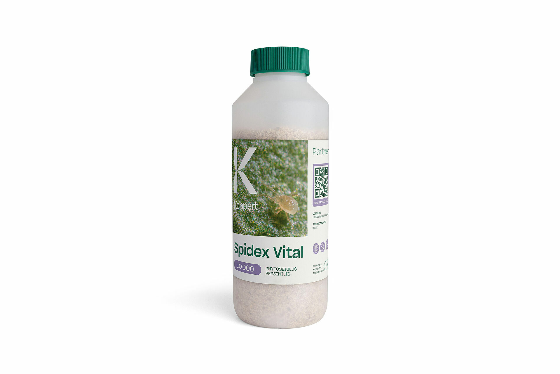 Spidex_Vital.jpg Spidex_Vital.jpg