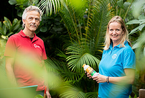 Tropische tuin Expeditie Bos in Goes