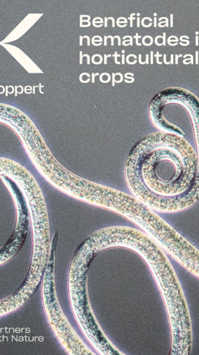 Beneficial Nematodes against Horticultural Pests