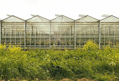 Biodiversity: Research into our positive impact on nature