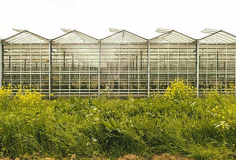 Biodiversity: Research into our positive impact on nature